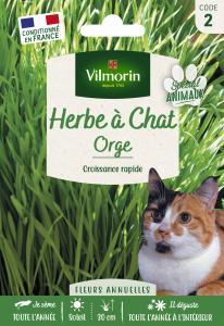 Herbe à Chat (Orge) - Grand Modèle